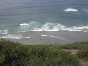 The ocean view from The Meditation Garden, Encinitas, CA.