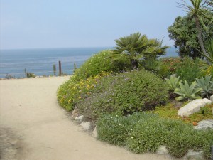 The Meditation Garden, Encinitas, CA.